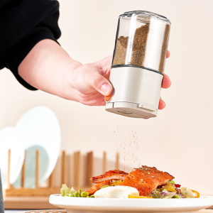 Precision Salt Dispenser