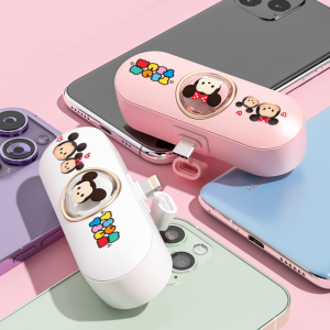 Pocket Power Charger
